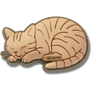 Tabby Cat
