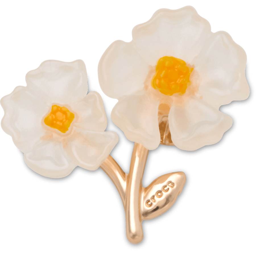 White Floral Blossom