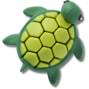 3D UV Changing Turtle